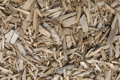 biomass boilers Duisdalebeg